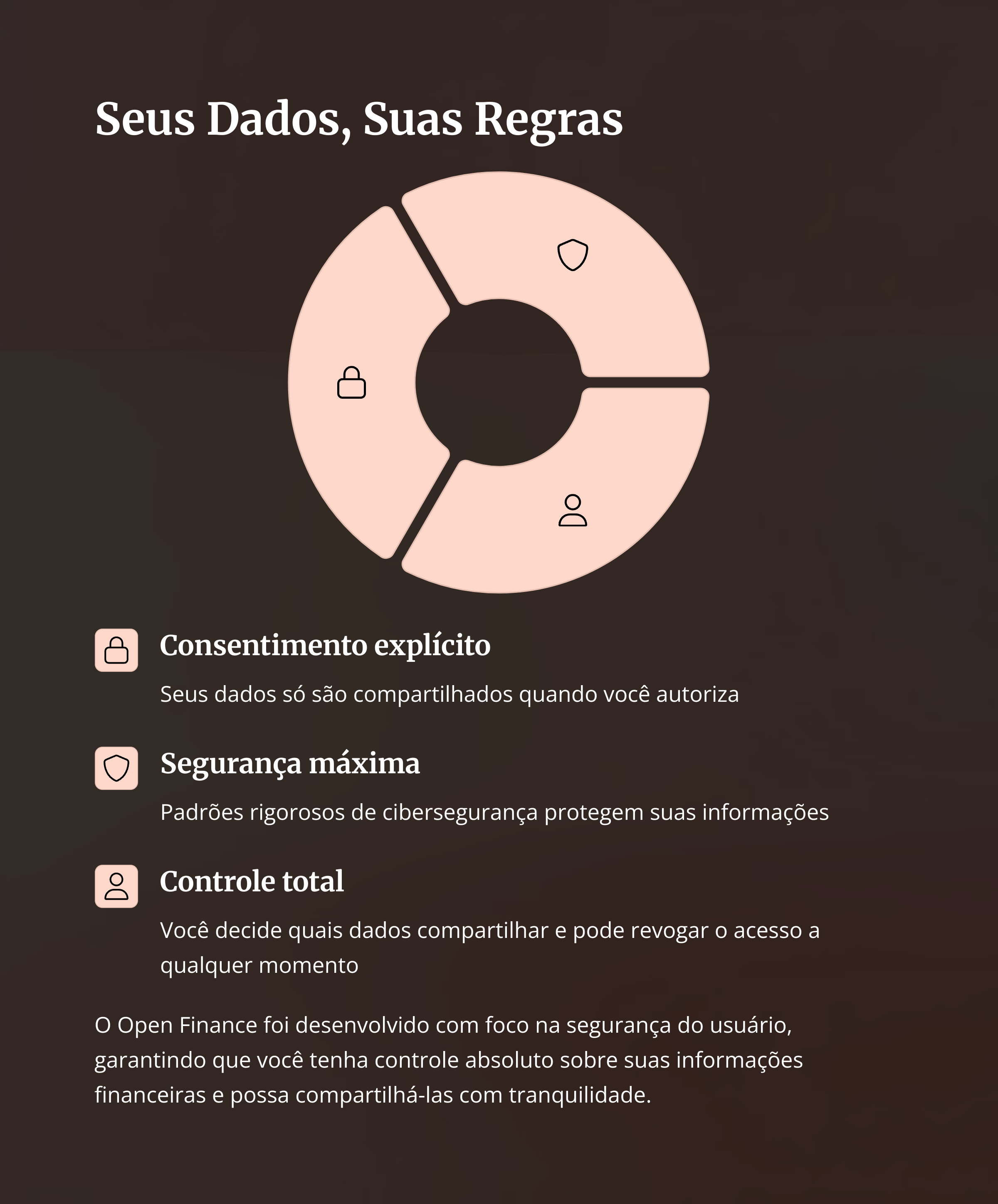 Controle e segurança dos dados no Open Finance